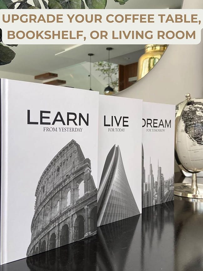 Premium Goldfish Pair