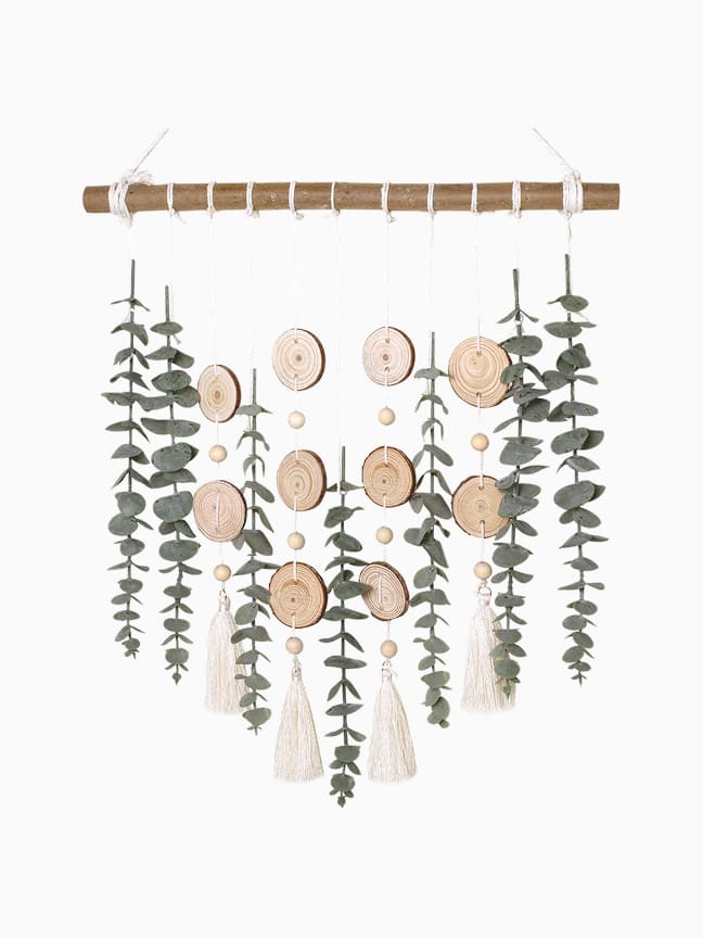 Freshwater Angelfish