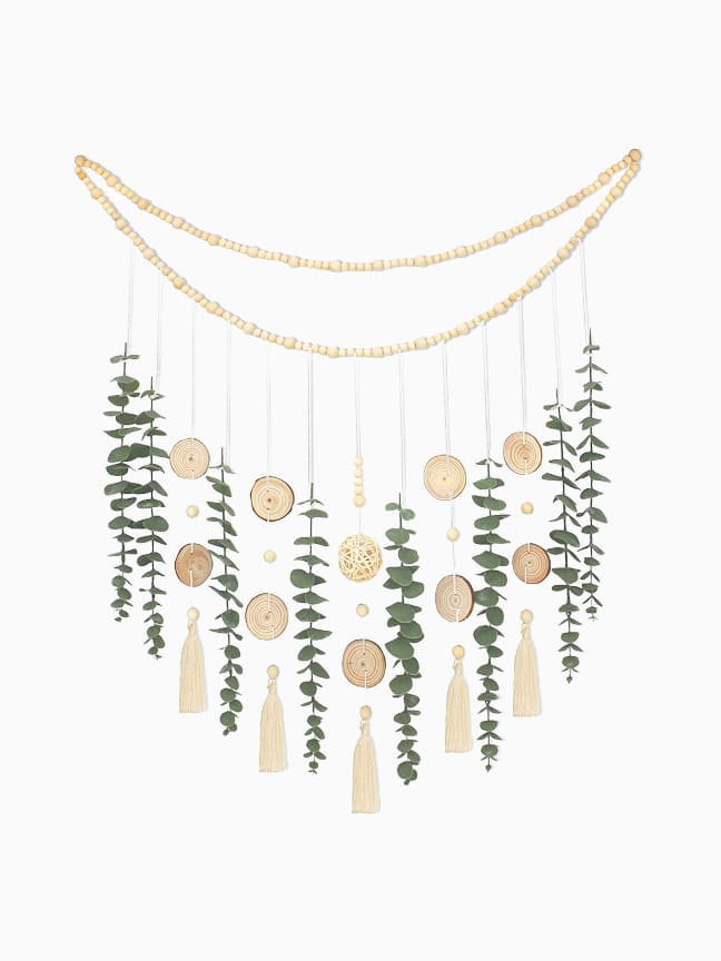 Freshwater Angelfish